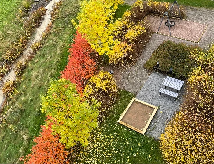 Taloyhtiön piha ennen ja jälkeen siistimisen